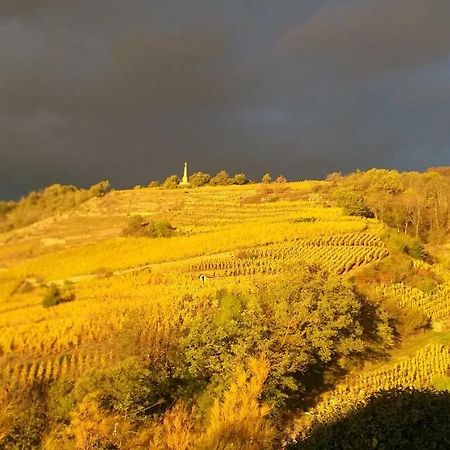 Wine Passion Panoramic Hotel Chavanay Kültér fotó