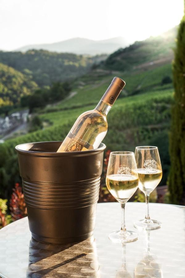 Wine Passion Panoramic Hotel Chavanay Kültér fotó