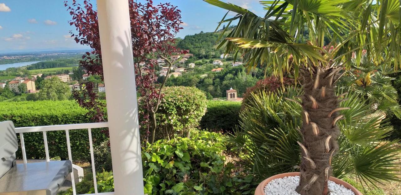 Wine Passion Panoramic Hotel Chavanay Kültér fotó