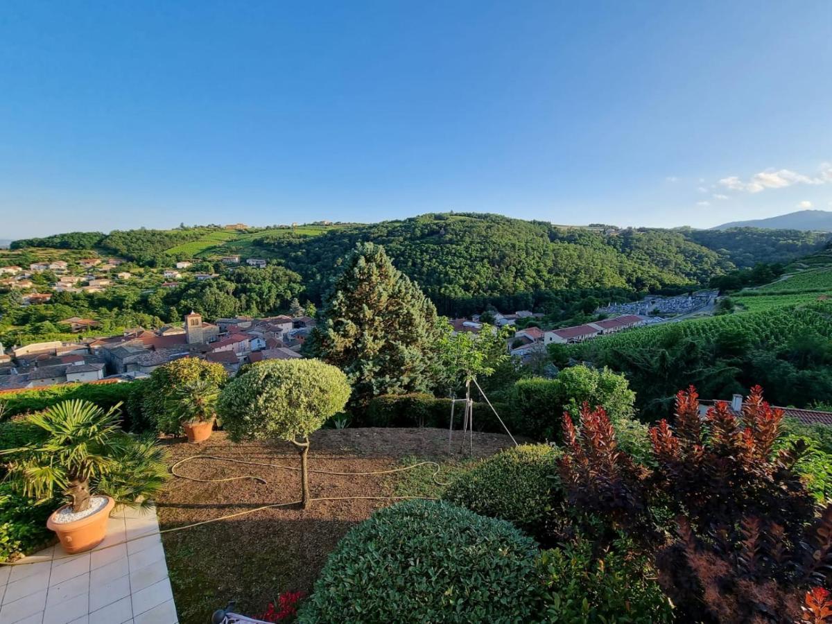 Wine Passion Panoramic Hotel Chavanay Kültér fotó